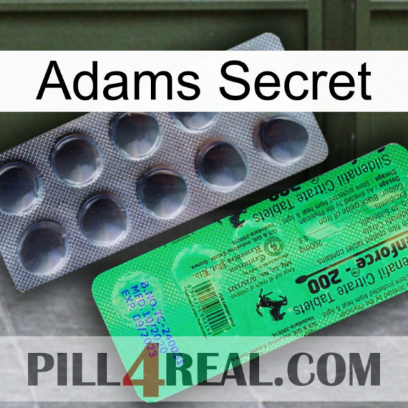 Adams Secret new04.jpg